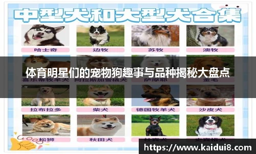 球友会