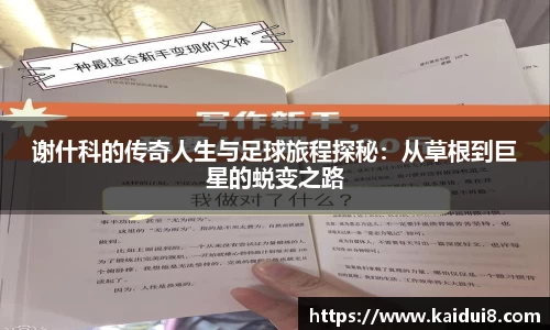 QY球友会